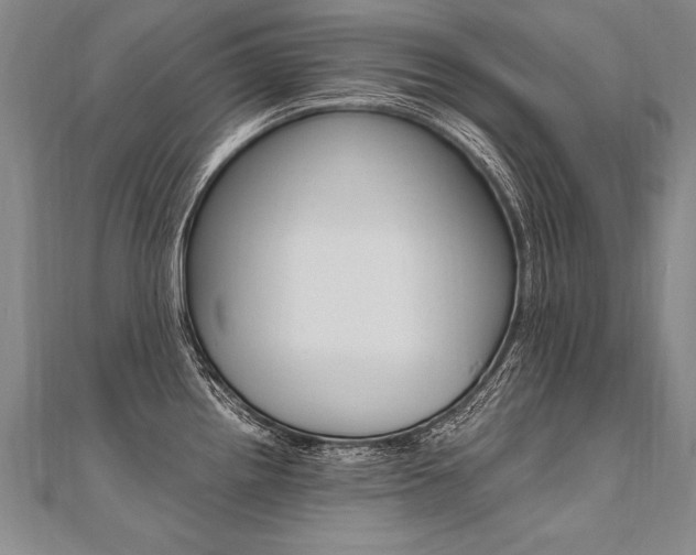 X0000110691242200906121049