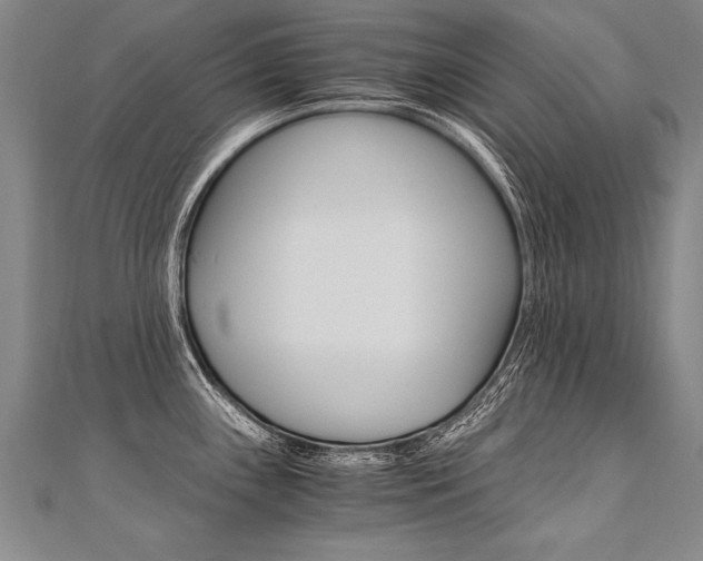 X0000110691243200906121049