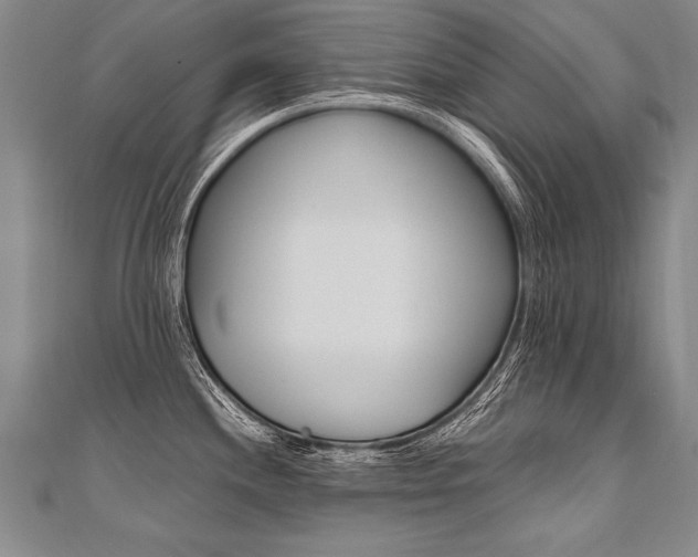 X0000110691244200906121049