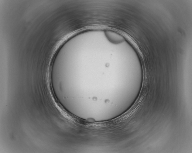 X0000110691245200906121049