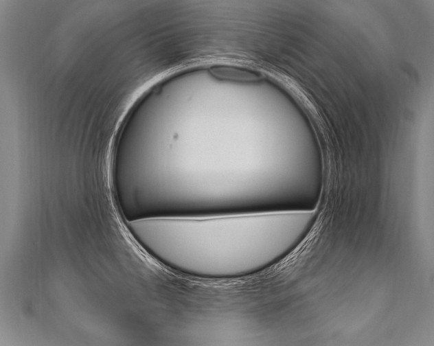 X0000110691246200906121049