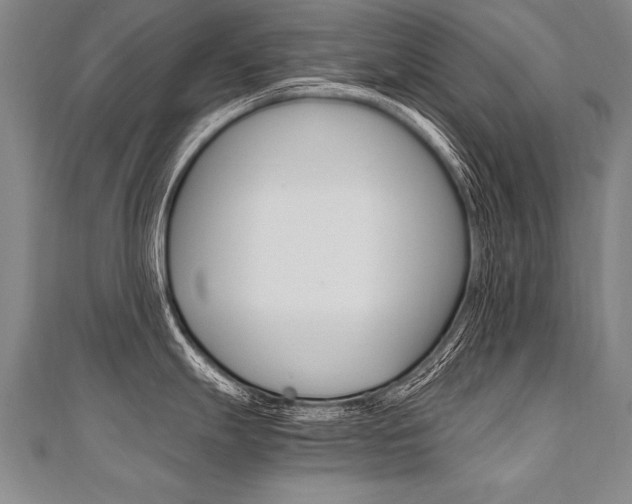 X0000110691247200906121049