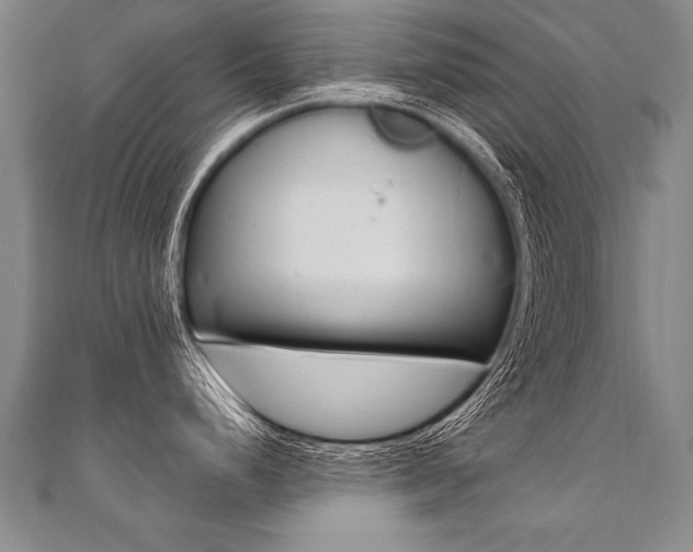 X0000110691248200906121049