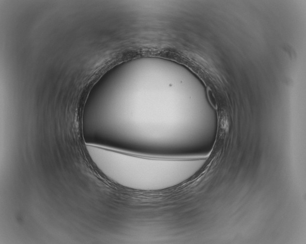 X0000110691252200906121048