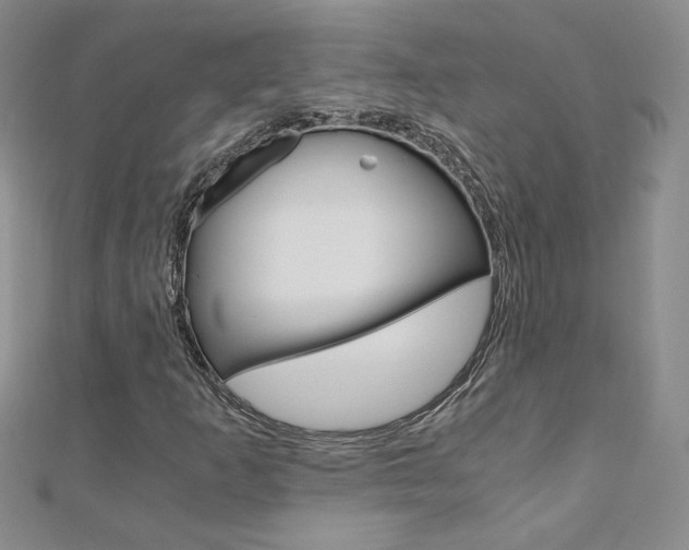 X0000110691253200906121048