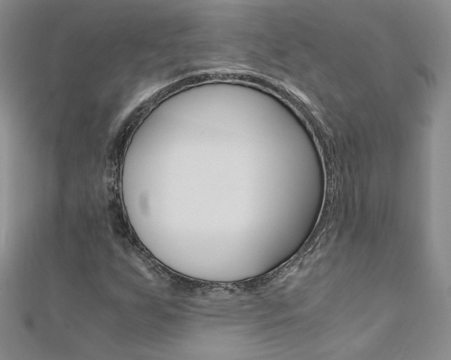X0000110691255200906121048