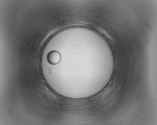 X0000110691256200906121048