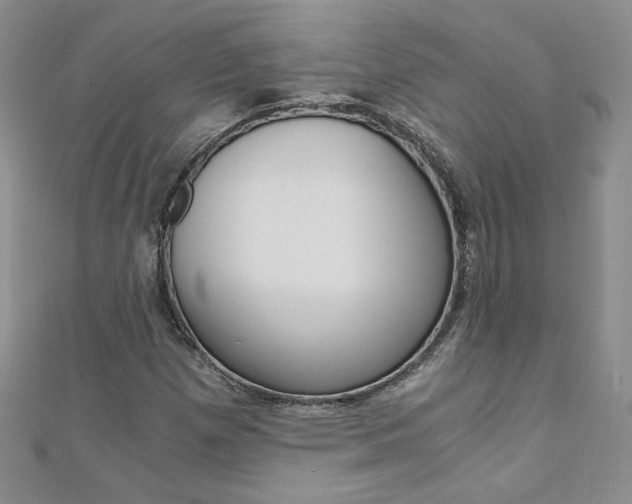 X0000110691257200906121048