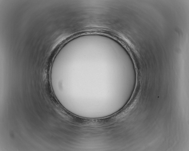 X0000110691259200906121048