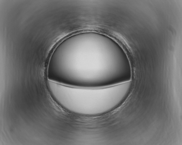 X0000110691260200906121048