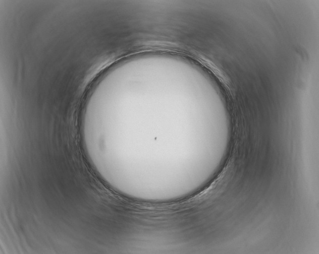 X0000110691261200906121048