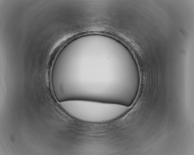 X0000110691262200906121048