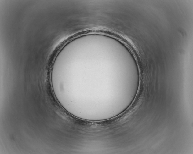 X0000110691263200906121048