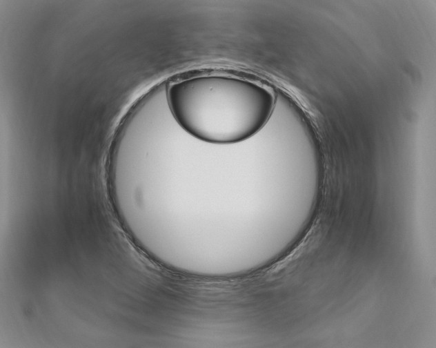 X0000110691264200906121048