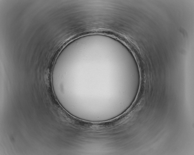 X0000110691265200906121048