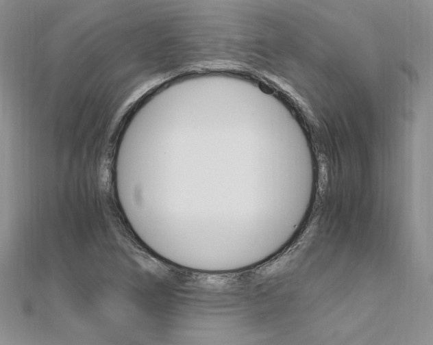 X0000110691266200906121048