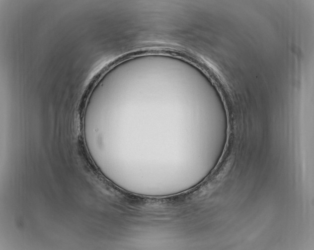 X0000110691267200906121048