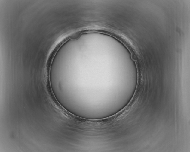 X0000110691270200906121048