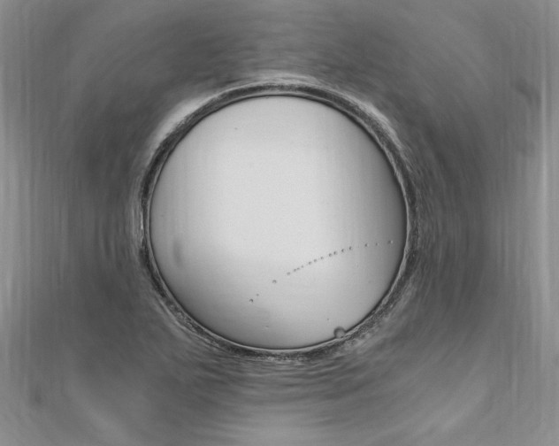 X0000110691271200906121048
