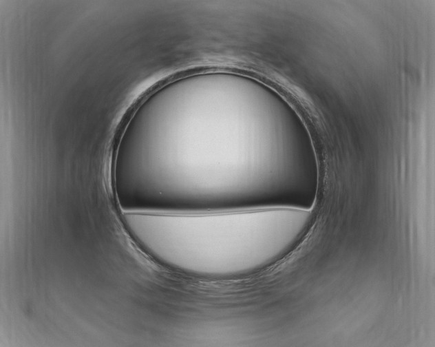 X0000110691272200906121048