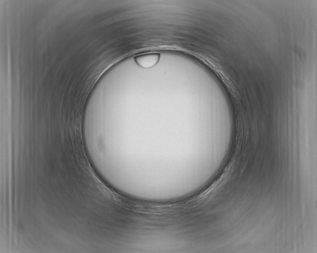 X0000110691273200906121048