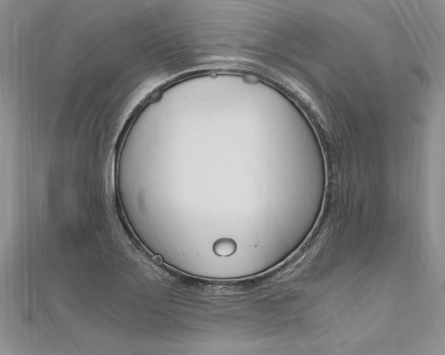 X0000110691275200906121048