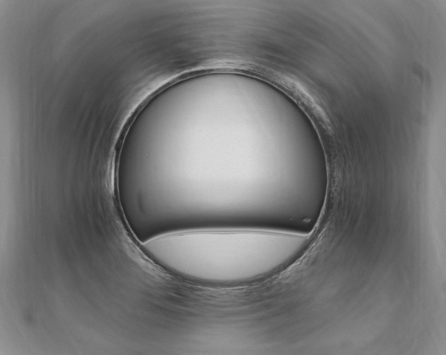 X0000110691276200906121048