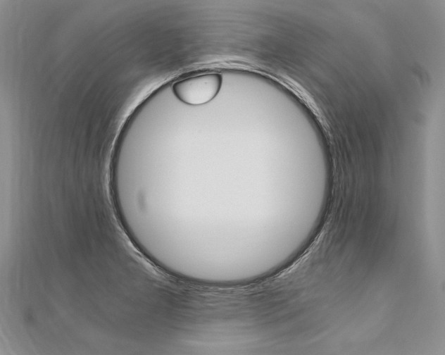 X0000110691277200906121048