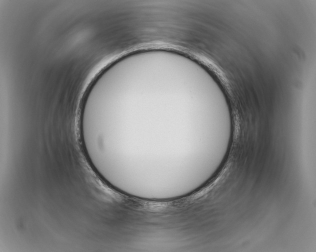 X0000110691278200906121048