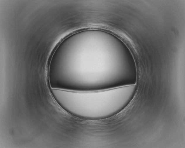 X0000110691280200906121048