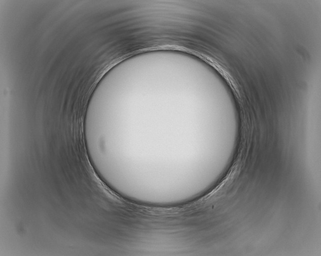 X0000110691281200906121048