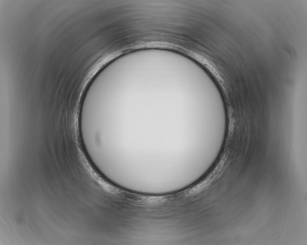 X0000110691282200906121048