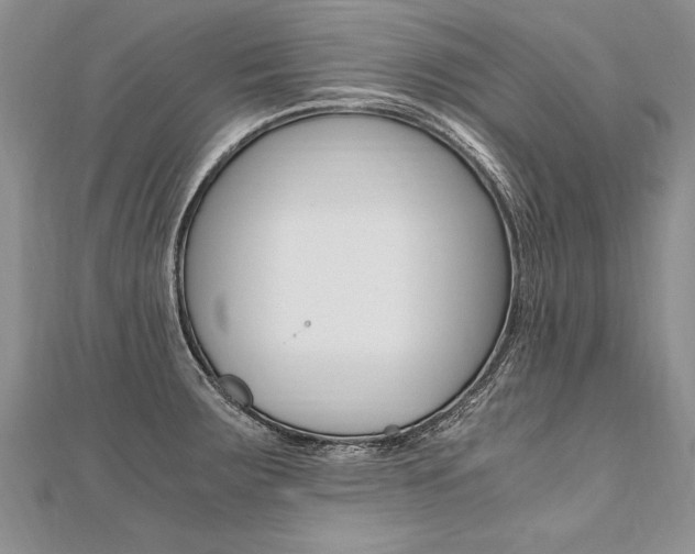 X0000110691283200906121048