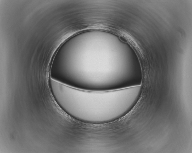 X0000110691284200906121048