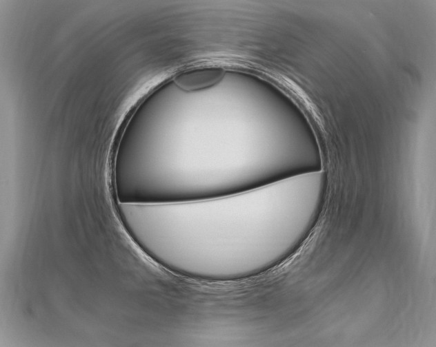 X0000110691285200906121048