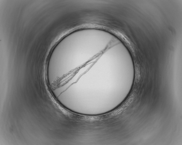 X0000110691286200906121048