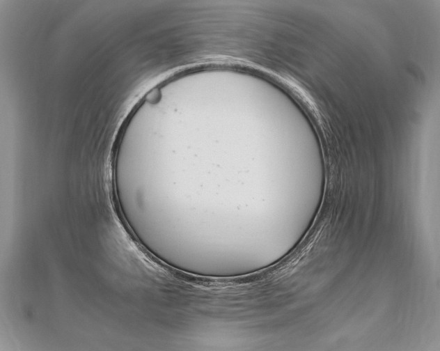 X0000110691287200906121048