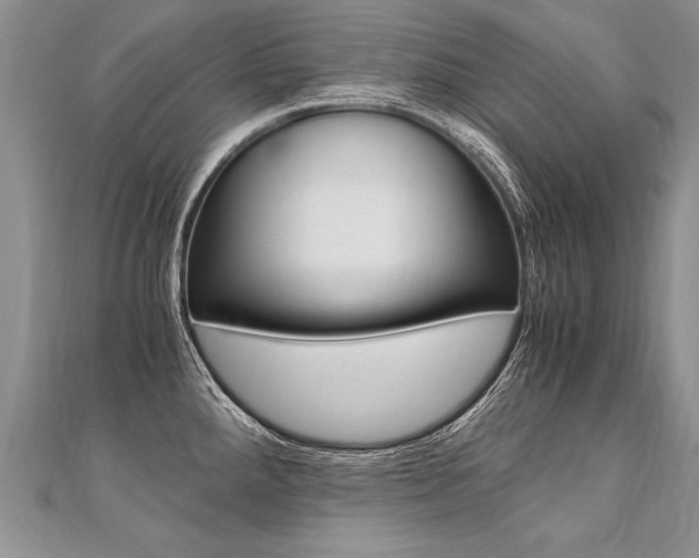 X0000110691288200906121048