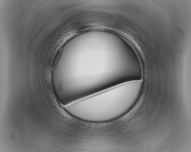 X0000110691289200906121048