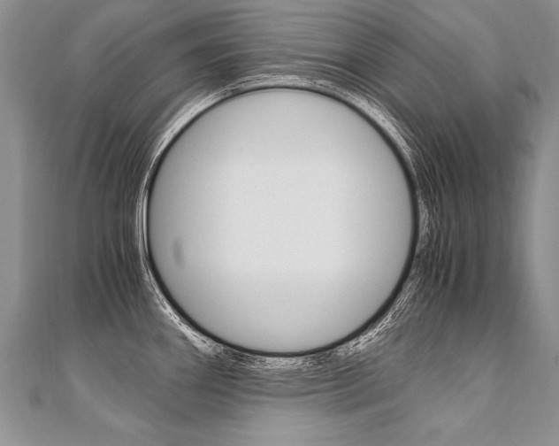 X0000110691290200906121048
