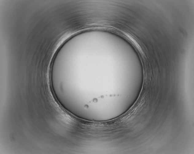 X0000110691291200906121048