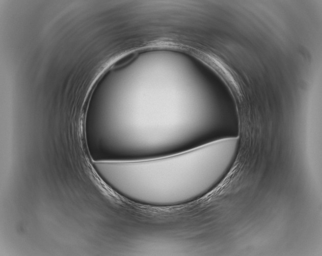 X0000110691292200906121048