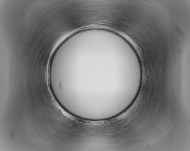 X0000110691294200906121048