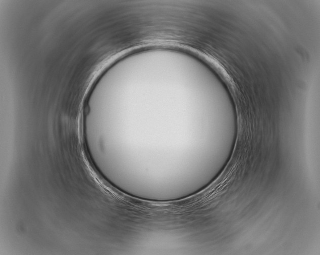 X0000110691295200906121048