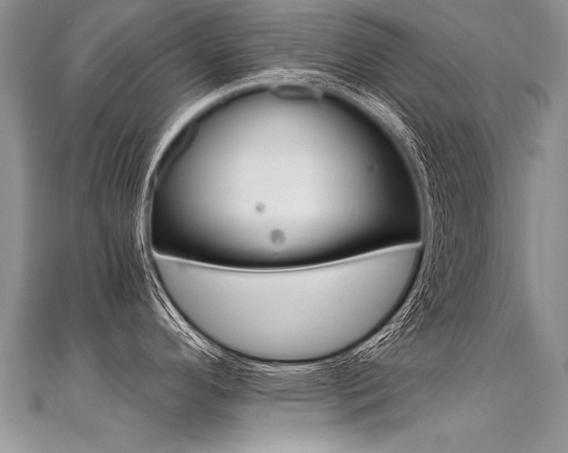 X0000110691296200906121048
