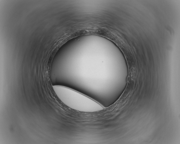 X0000110691298200906121047