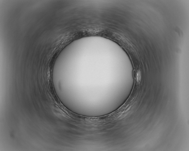 X0000110691299200906121047