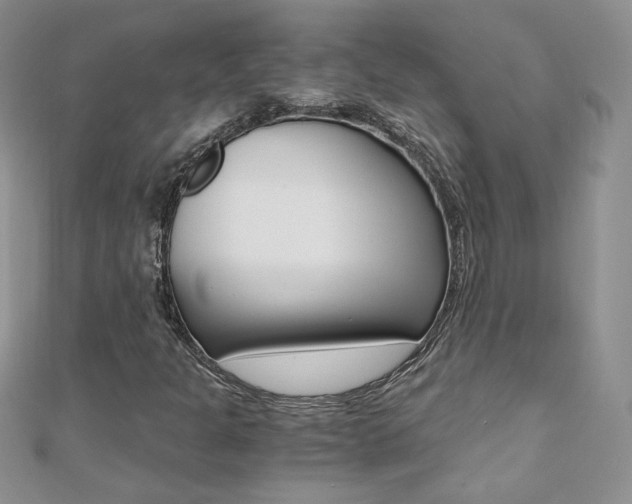 X0000110691301200906121047