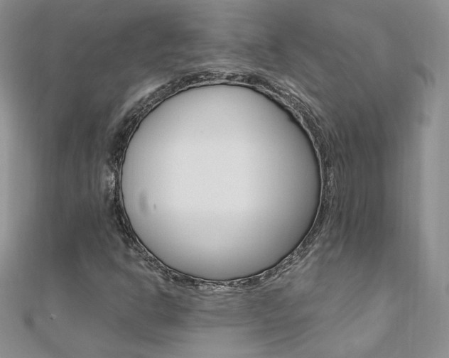 X0000110691302200906121047