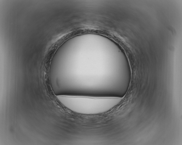 X0000110691303200906121047